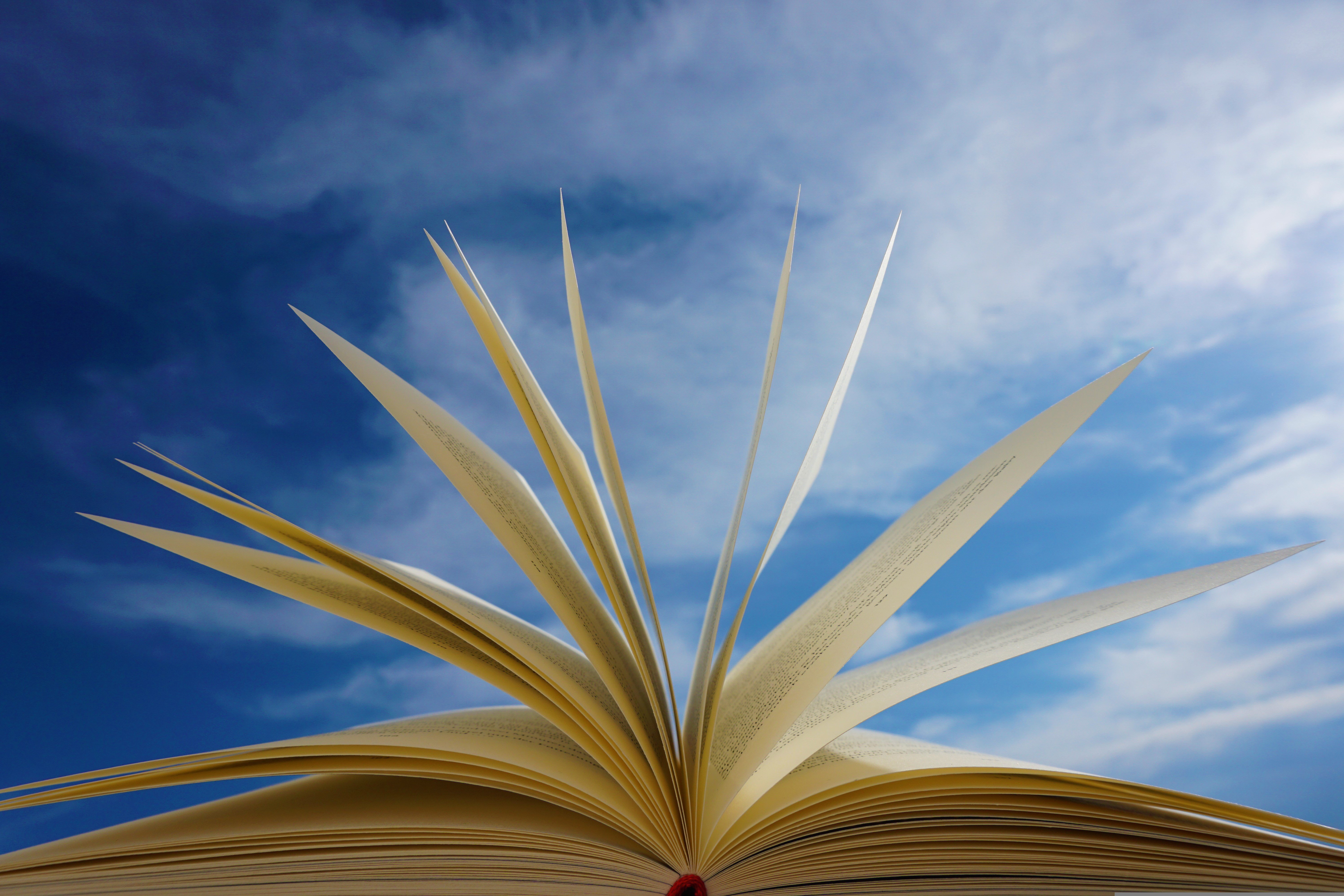 livre a paraitre